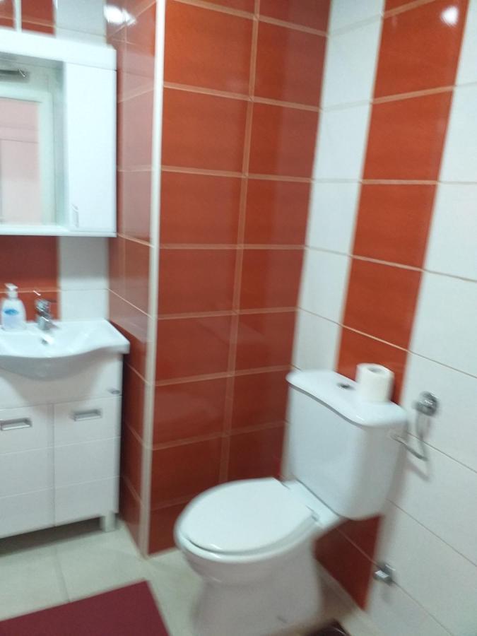 Stan na dan Apartment Loznica Bagian luar foto
